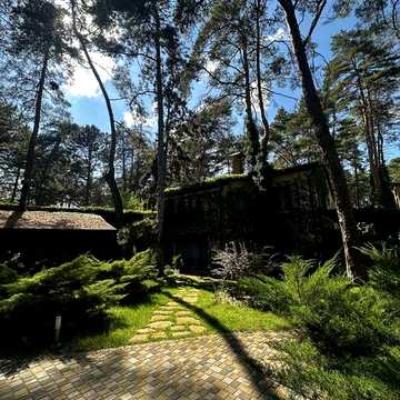 Дом в сосновом лесу
