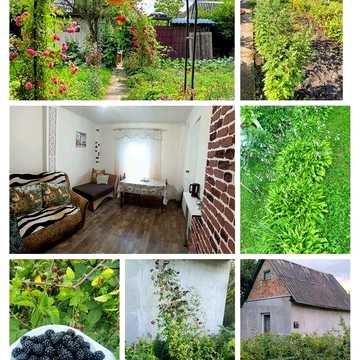 Продам Дача Красносельський/Красносільський кооператив, власник