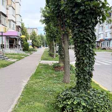 ЦЕНТР вулиця Перемоги - Локація ТОП