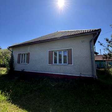 Будинок в с. Турʼя Пасіка з садом та городом