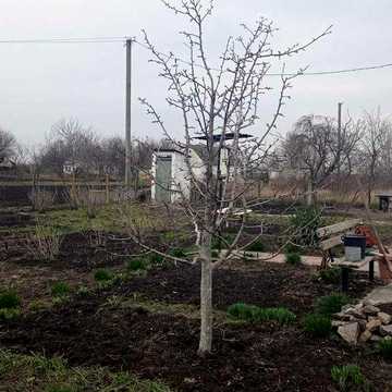 Продам цегляний будинок с. Потіївка