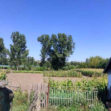 Продається будинок селище Ружин, Житомирської області.
