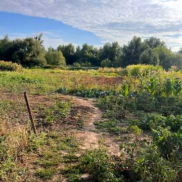 Продаж 3к Дім Вільшанська (Енгельса) вулиця