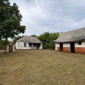 Будинок з великою територією