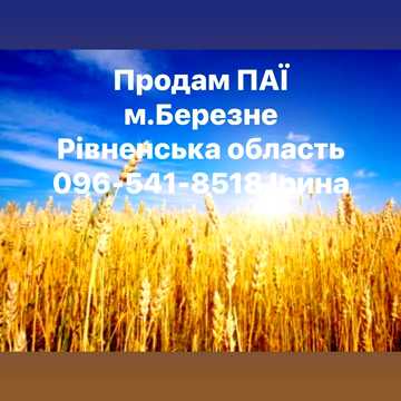 Березне, Рівненський, Рівненська область 3000.0 USD
