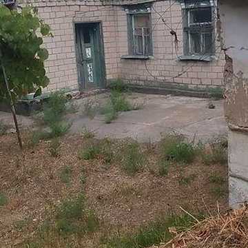 дім в петриківці