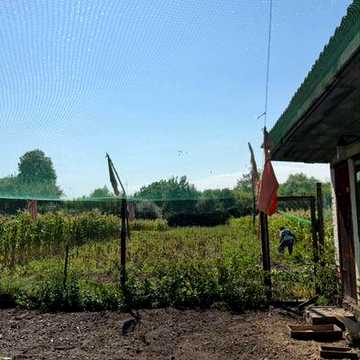 Терміново Продам будинок із землею і огородом на 15 соток