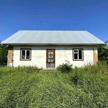 Будинок з земельною ділянкою
