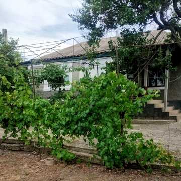 Продається будинок с.Прибужани