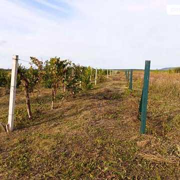 Продаж 6к Дім вулиця Млинарська
