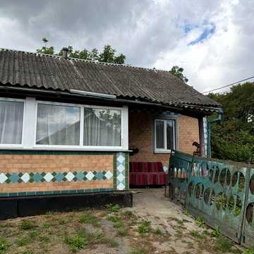 Приватний будинок в селі з великою ділянкою
