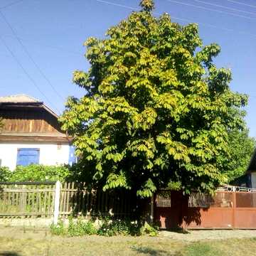 Продам 1/2 будинку