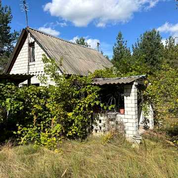 Здам дачу в с. Пришивальня — тихе місце біля лісу, довгострокова оренда
