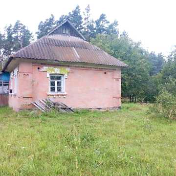 Продається будинок з великою ділянкою