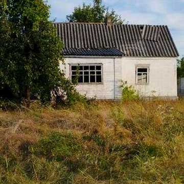 Продам будинок 32м2. ділянкой 12 соток вул. Петриківська на Передовой