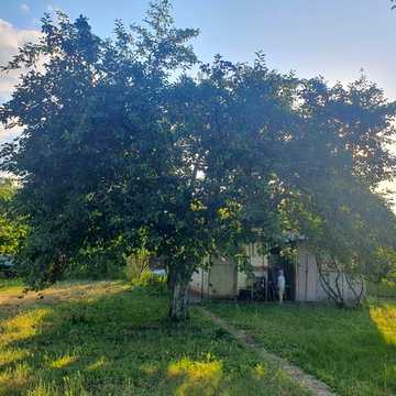 Продам дачу СОТ "Перетворювач 2", біля села Бабурка.