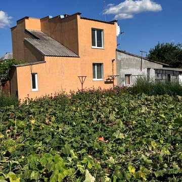 Продам незвичайний будинок с.Лобойківка