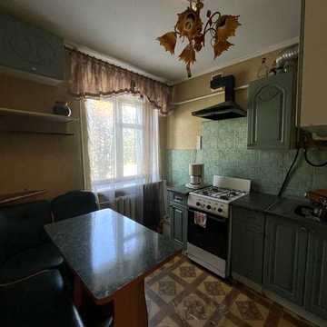 1 кімнатна Дружба 24000$