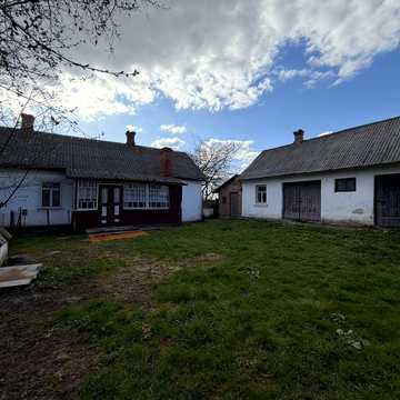 Хата з великою ділянкою та господарчими будівлями в селі Рачин