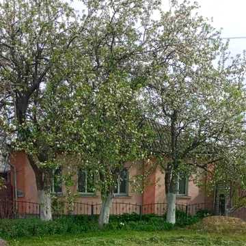 Продаж або оренда будинку в Глухові