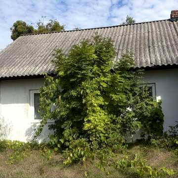Продаж будинку з земельною ділянкою в с.Сілець