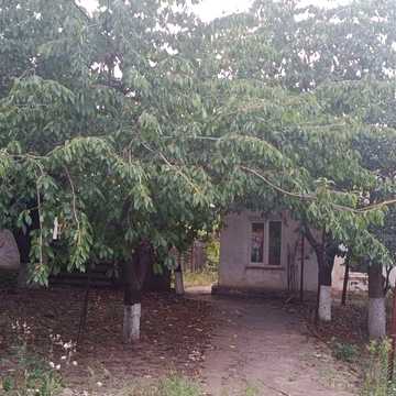Сдача дом под продажу