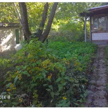Продам пол дома в Новобоварском р-не. Свой двор 8 сот Отличная ценаTB