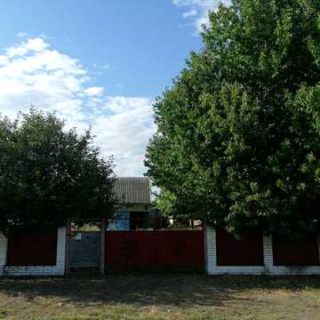 Продам Дворище 17 соток в селищі Драбів, Черкаська область (ВЛАСНИК)