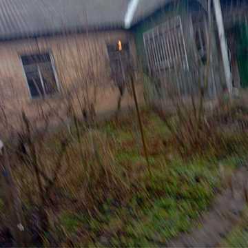 Здам в оренду будинок