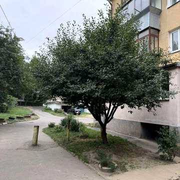 Продаж: 2 кімнатна квартира вул. Городоцька