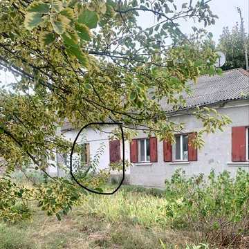 Квартира. Центр міста.