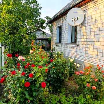 Продається два будинка, основний 75 м² + літній будинок 50 м², на землі 12,3 сотки | с. Білене
