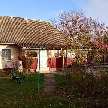 Продам хату в центрі Басаличівки