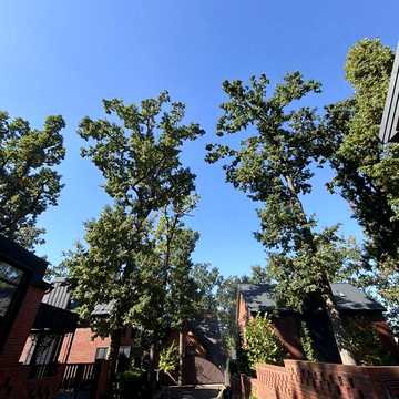 Продаж 4к Дім Гоголя вулиця ЖК Oak Grove Town