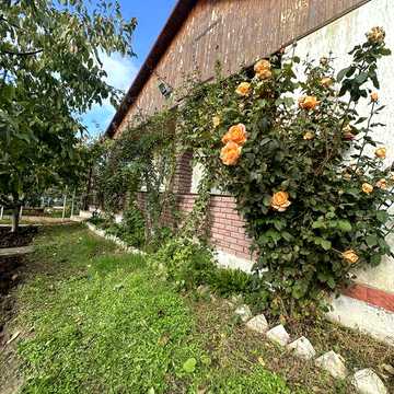 Продам Дом в Барабоях Сертификат‼️Ваучер‼️