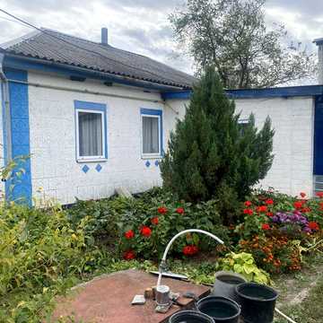 Продам будинок с. Пузикове