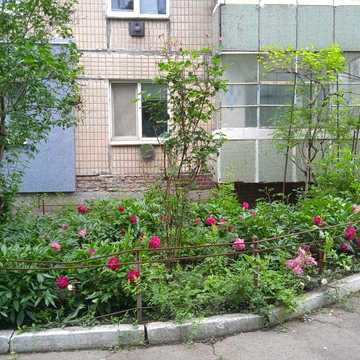 Однокімнатна квартира з автономним опаленням