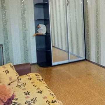 Довгострокова оренда 1к Квартира Зубенка Владислава вулиця