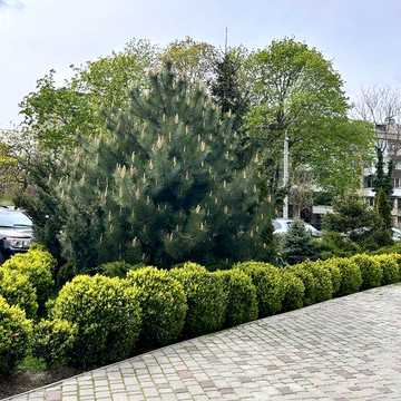 Продаж 2 кімнатної квартири ЖК Акапулько 95м2 вул. Педагогічна ЖК Акапулько