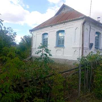 Продаам будинок  с. Бистрик
