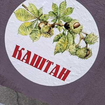 Дача с мостиком для рыбалки с.Вольноулановское