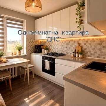 Однокімнатна квартира. Днс
