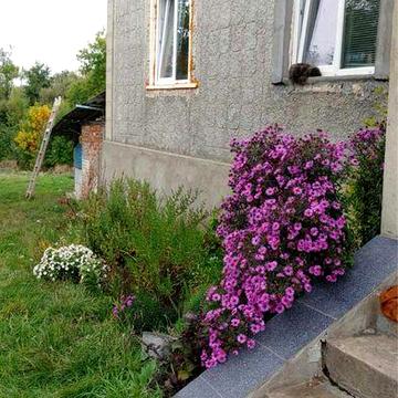 Продам будинок в смт Вендичани
