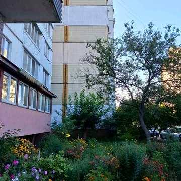 Здам квартиру вул.Калинова 8 ст.метро Берестейська Нивки Сирець