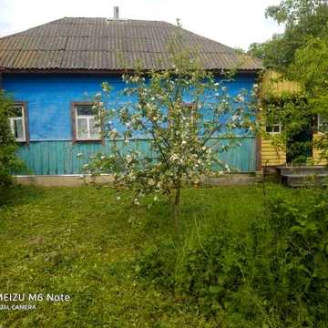 Продається будинок с.Бобрик, Чернігівська область, Ніжинський район