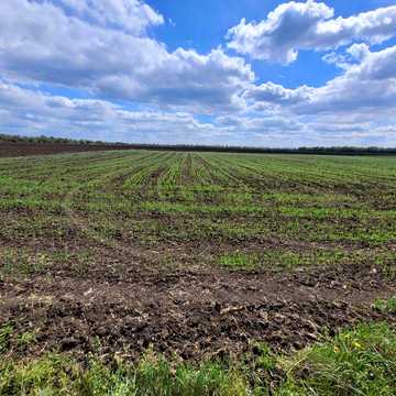 Продам будинок у селі Затишне Самарського району
