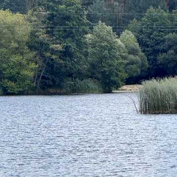 Будинок біля озера в селі Ясногородка  і 45 соток