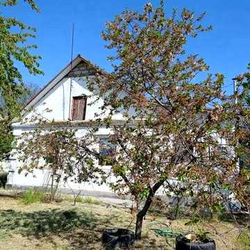 Продам в пгт Радостное дом с большим участком