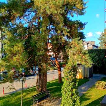 Оренда квартири с.Зазим'я, ЖК Desna Residence