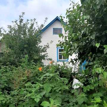 Продається дім в с.Парафієвка